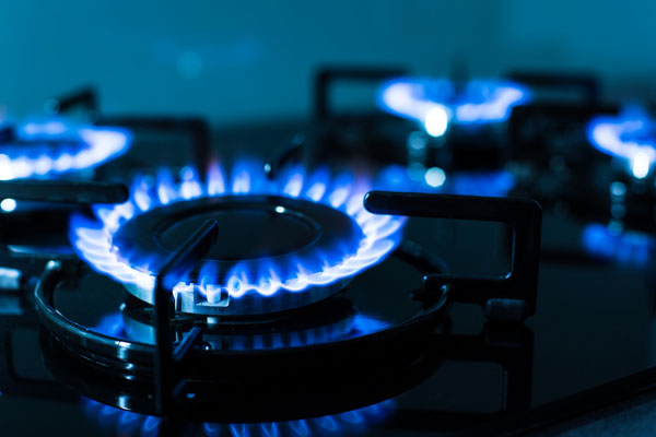 image of a propane gas stove