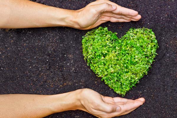 image of hands and plants depicting environmentally friendly propane gas