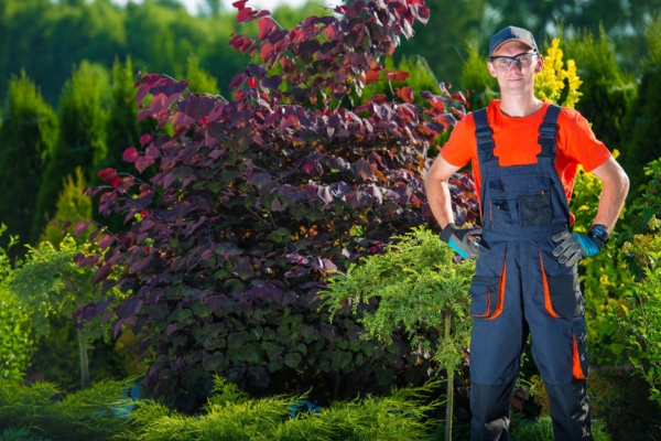 professional landscaper for propane tank landscaping