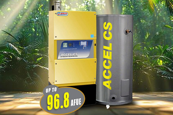 EK Accel CS