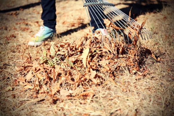 fallen leaves and rake depicting seasonal preparation for propane tank