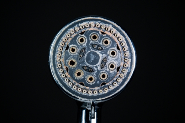 hard water deposit on showerhead