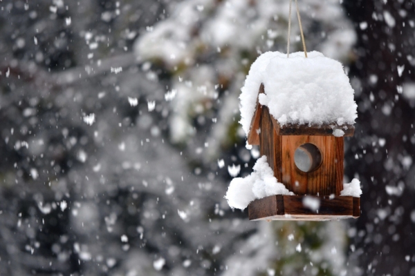 snow covered birdhouse in winter
