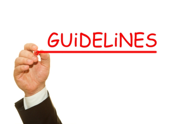 GUIDELINES written on a virtual board