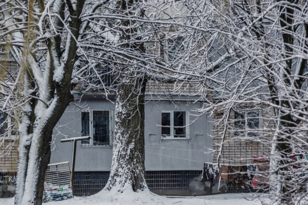 snow covered trees in front of a house