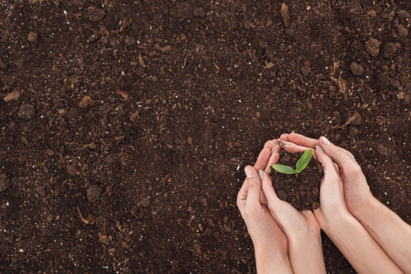 couple holding together soil with sprout depicting Environmental and Safety Advantages