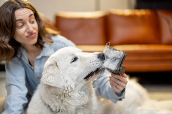 woman brushing dog's shedding hair