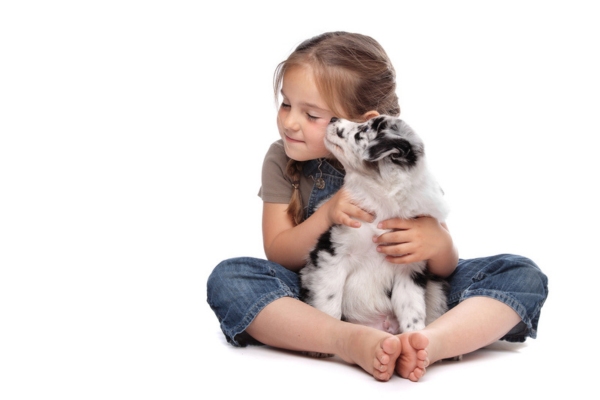 Little girl and a puppy