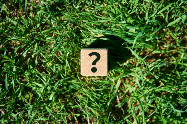 Wooden block with question mark symbol on fresh green grass depicting Energy-Efficient Air Conditioner questions