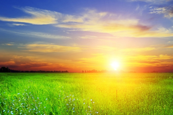 image of a summer landscape